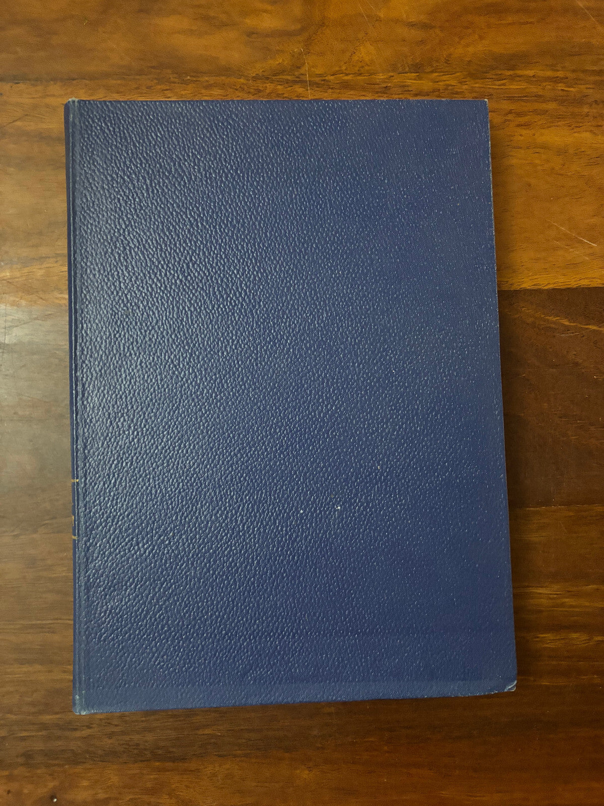 44692229
