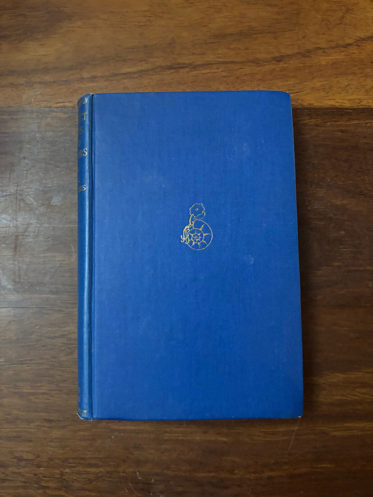 44692453