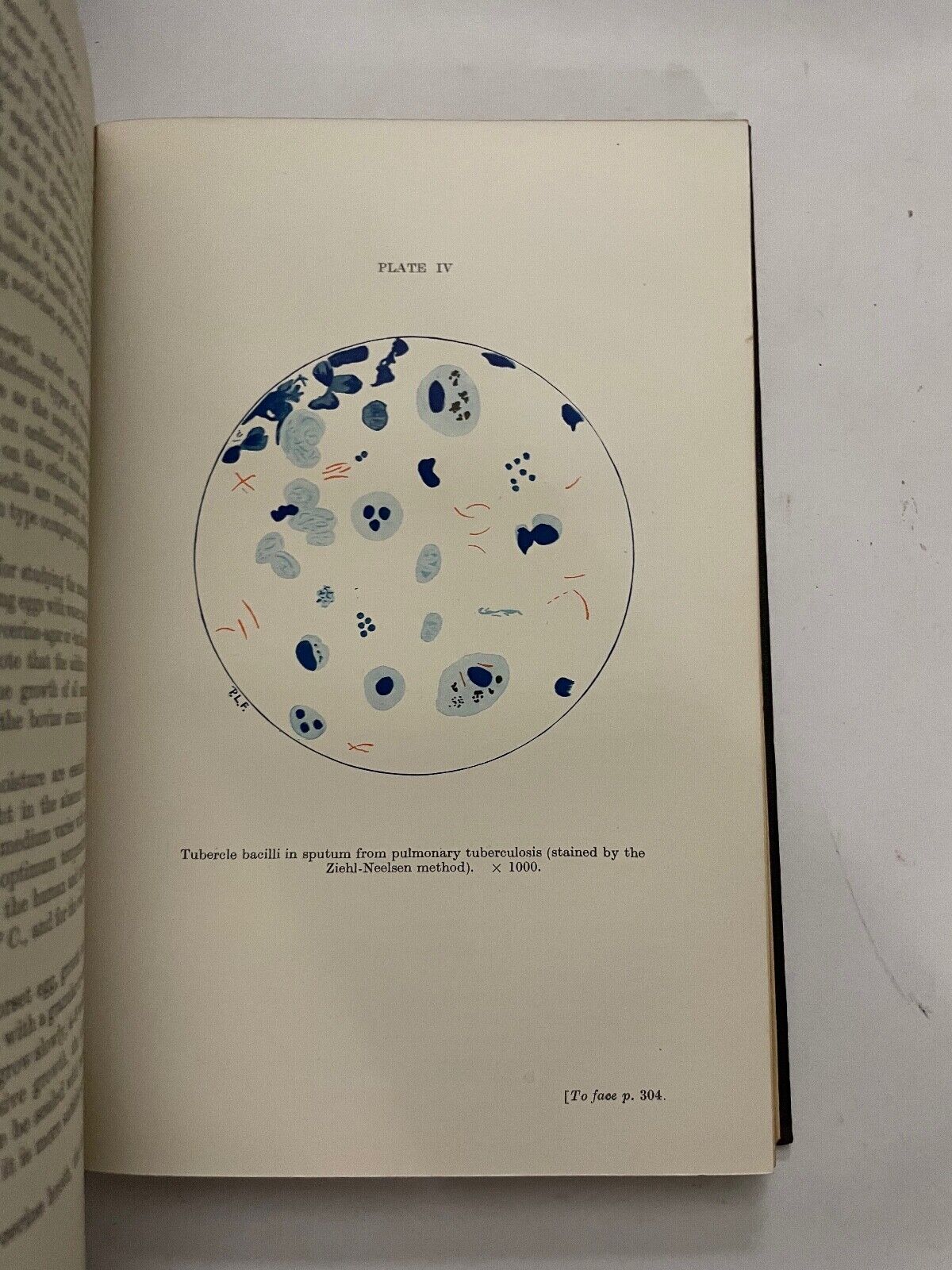 Text Book Of Bacteriology R W Fairbrother 7th Edition