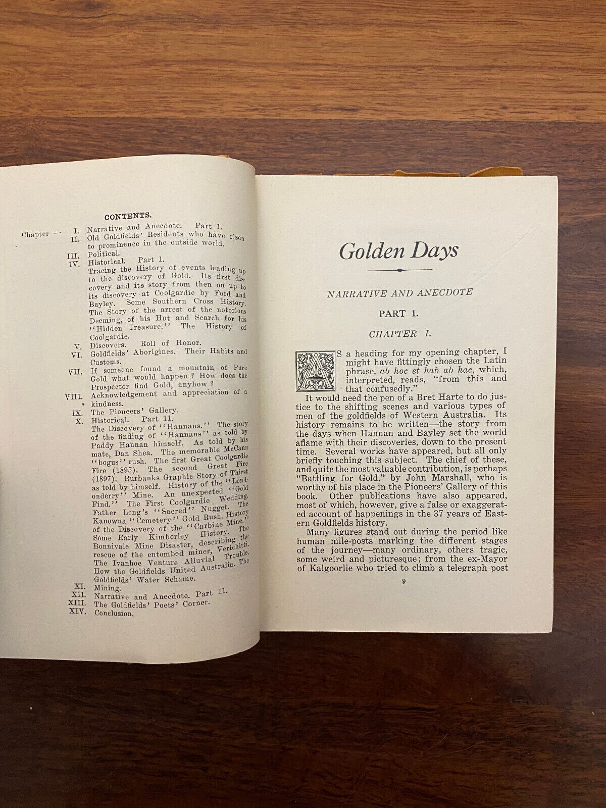 Golden Days by Jules Raeside (Softcover, 1929)