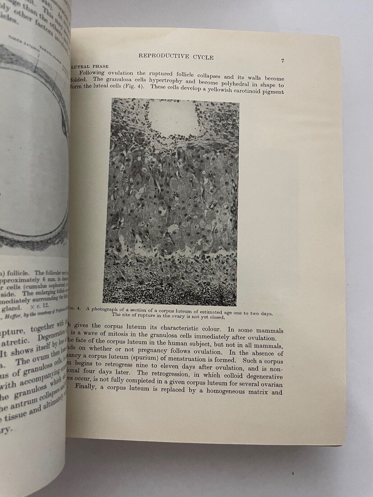 British Obstetric and Gynaecological Practice by Eardley Holland