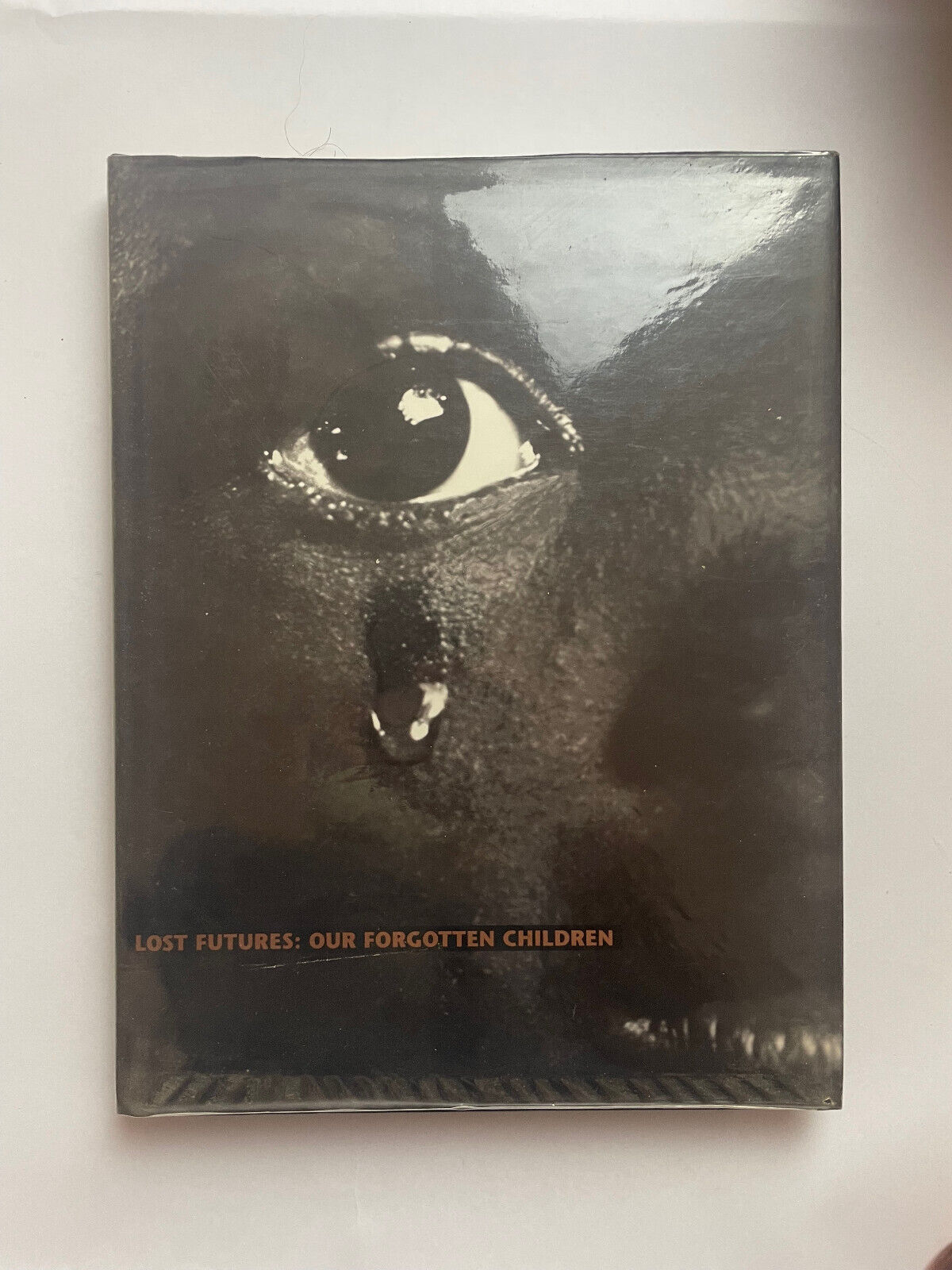 Lost Futures: Our Forgotten Children by Grossfeld, Stan
