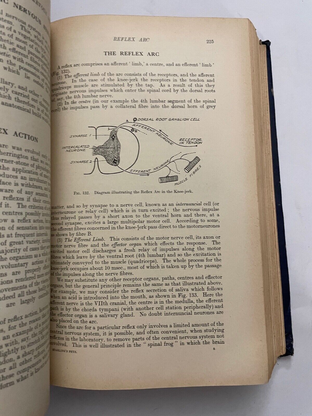 Starling's Principles of Human Physiology by G Lovatt Evans 1941