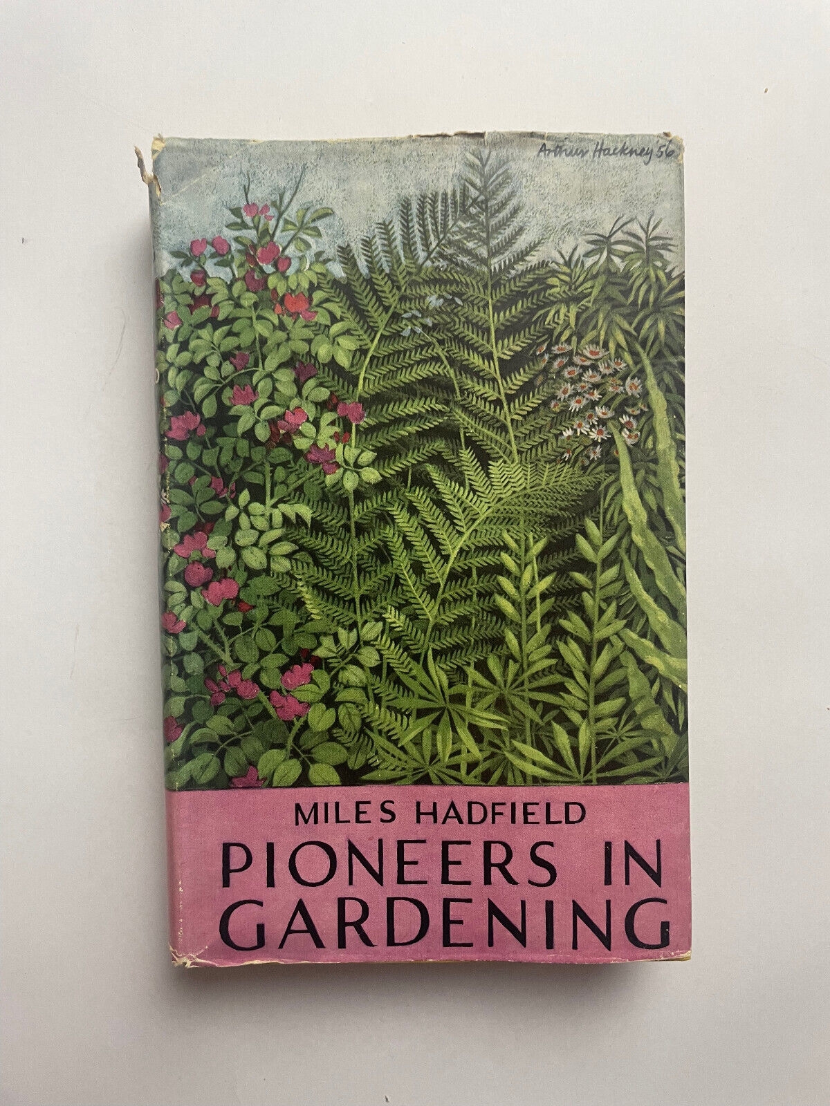 Pioneers in Gardening by Miles Hadfield (Hardcover, 1955)
