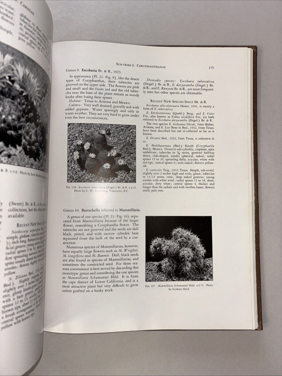 Cactaceae by Marshall & Bock – 1st Edition, Theophrastus 1941 Hardcover