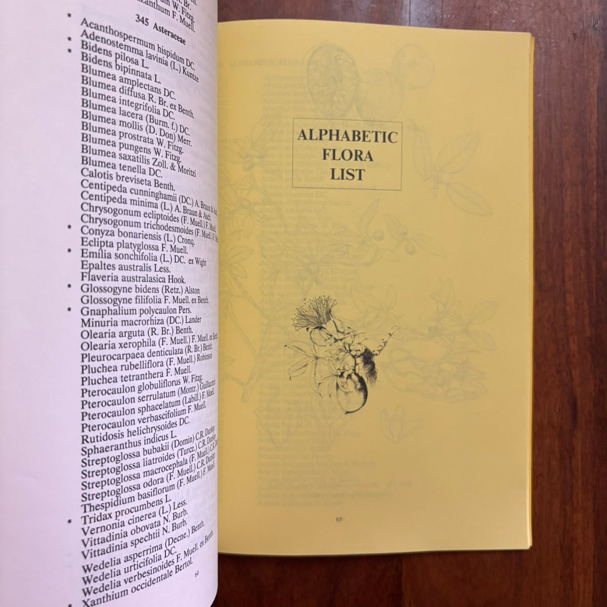 46213359