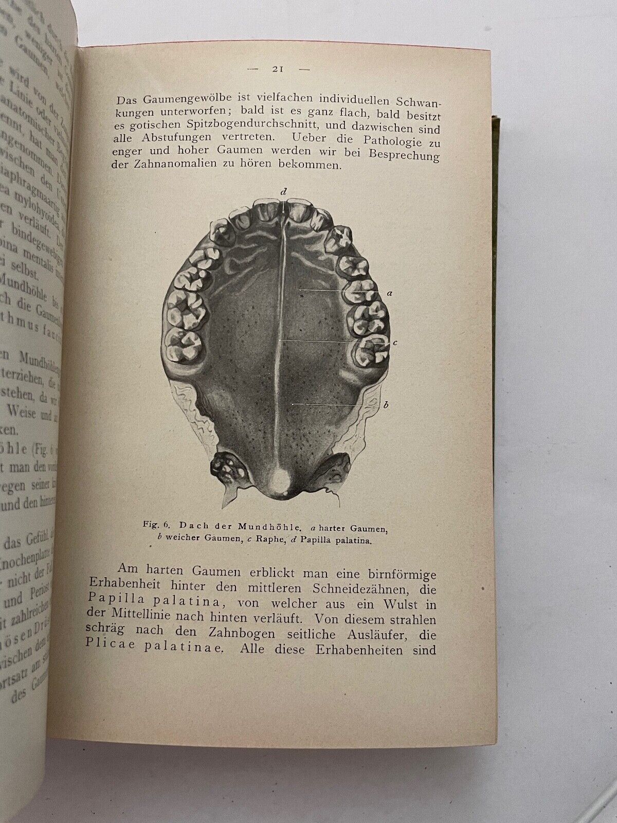Dentistry Zahnheilkunde von G. Preiswerk (German)