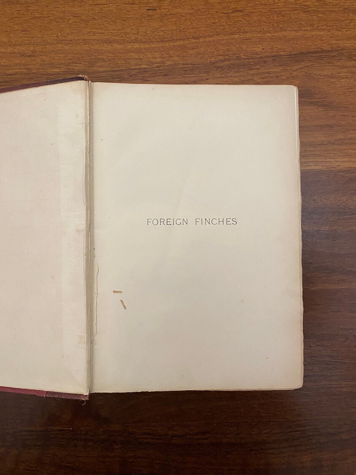 Foreign Finches in Captivity by Butler, Arthur G (Hardcover, 1899) 2nd edition