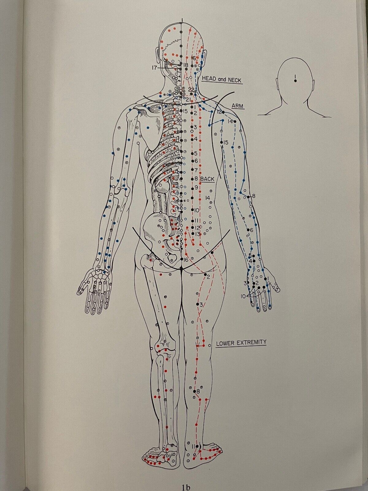 Acupuncture for Physicians by Teruo Matsumoto