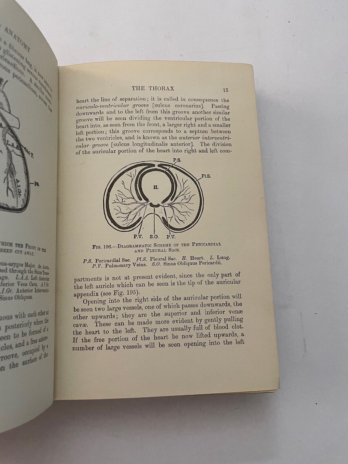 Practical Anatomy by Parsons and Wright Vol II 1923