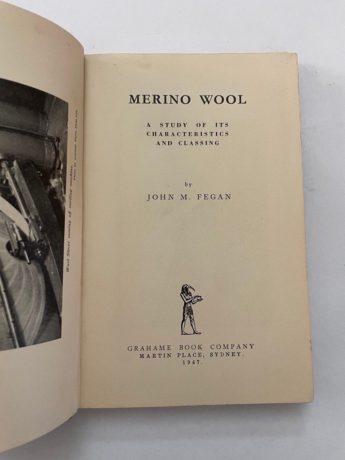 Merino Wool by John M Fegan 1947