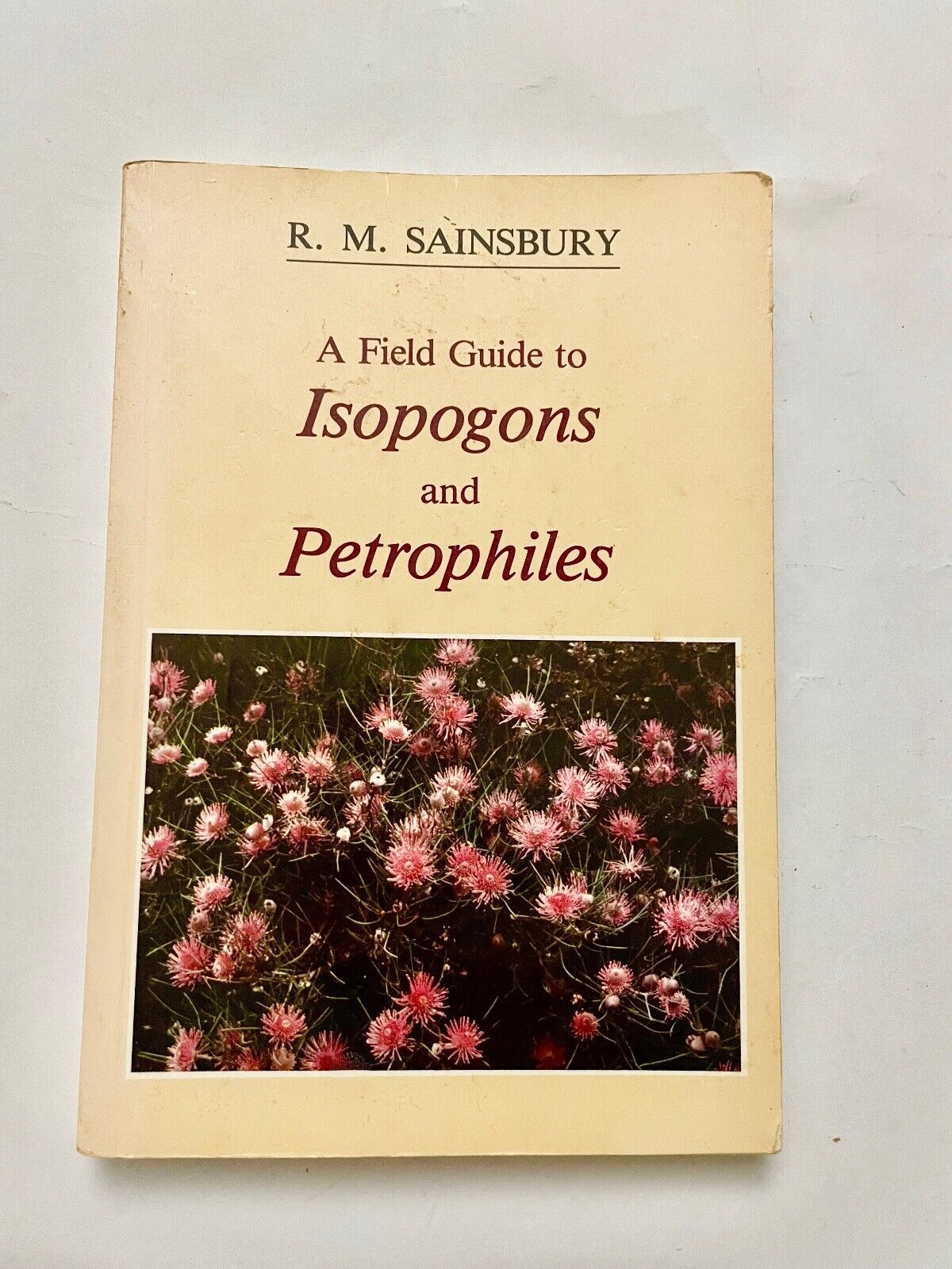 A Field Guide to Isopogons and Petrophiles by R. M. Sainsbury (Softcover, 1988)