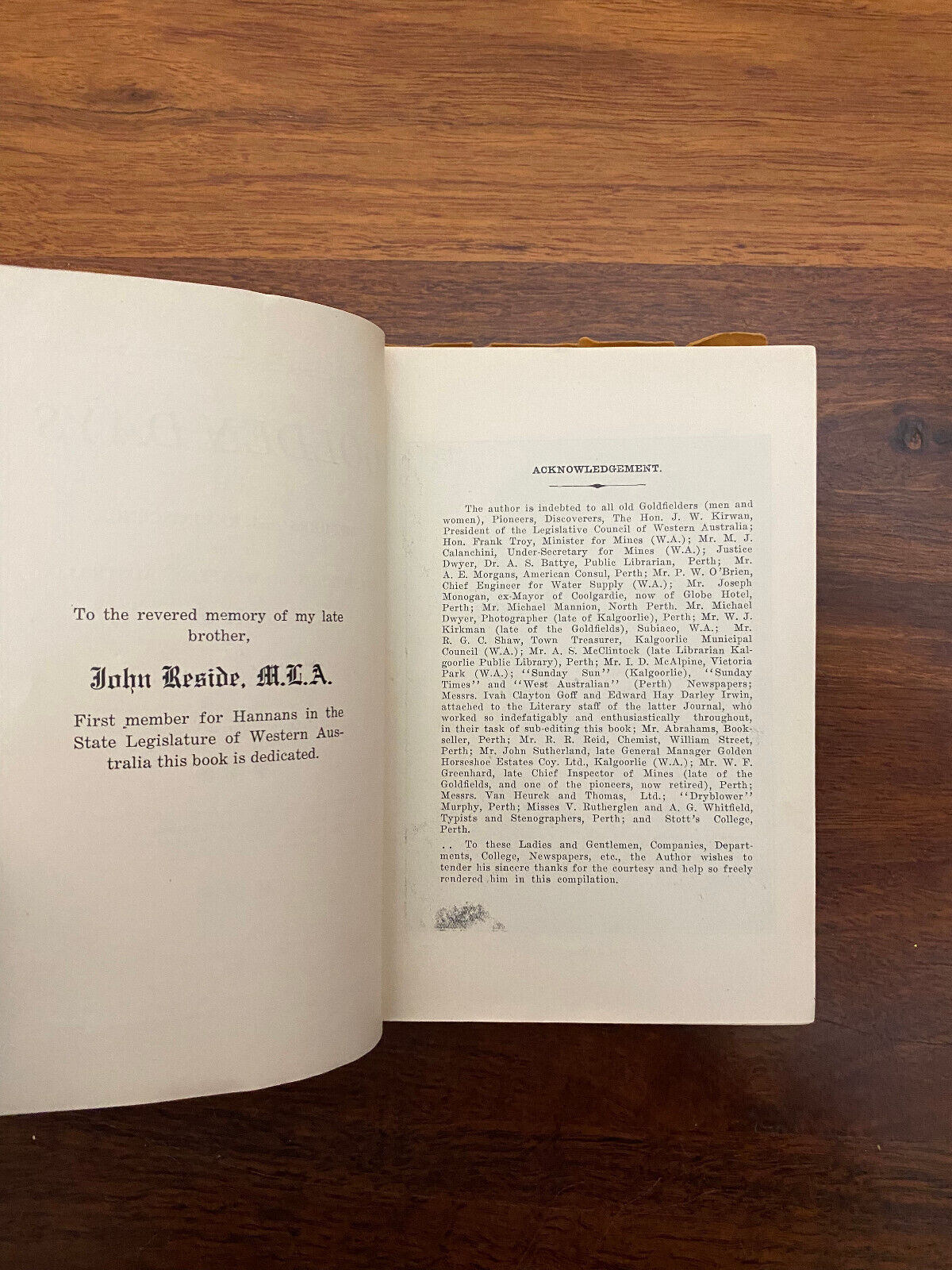 Golden Days by Jules Raeside (Softcover, 1929)