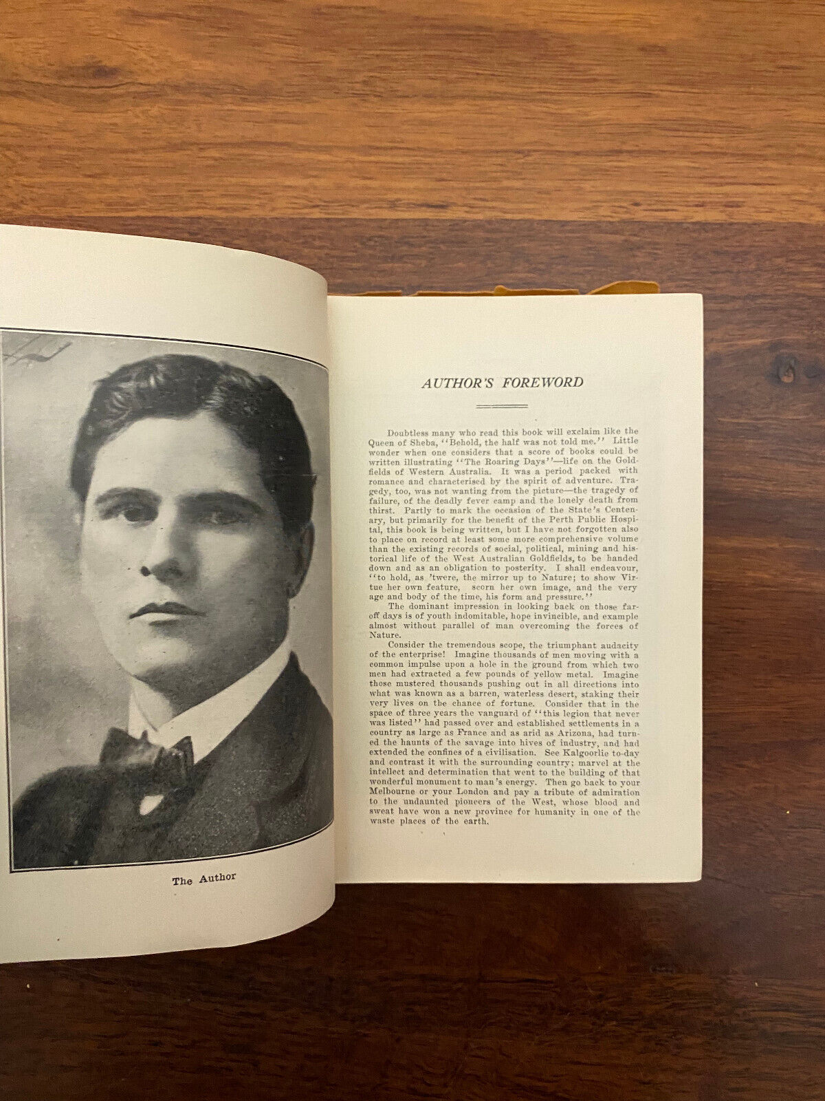 Golden Days by Jules Raeside (Softcover, 1929)