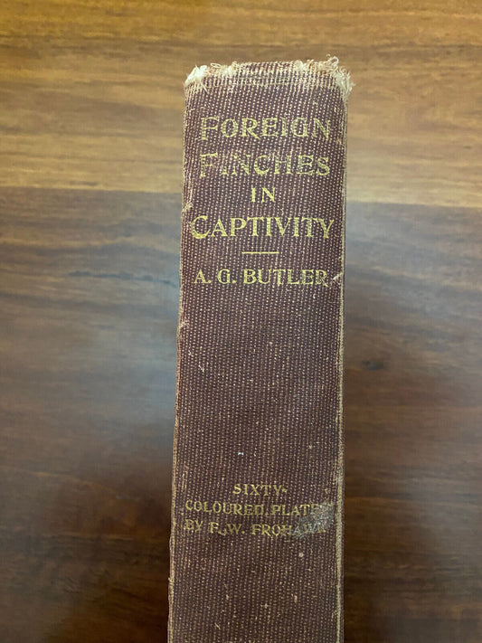 Foreign Finches in Captivity by Butler, Arthur G (Hardcover, 1899) 2nd edition