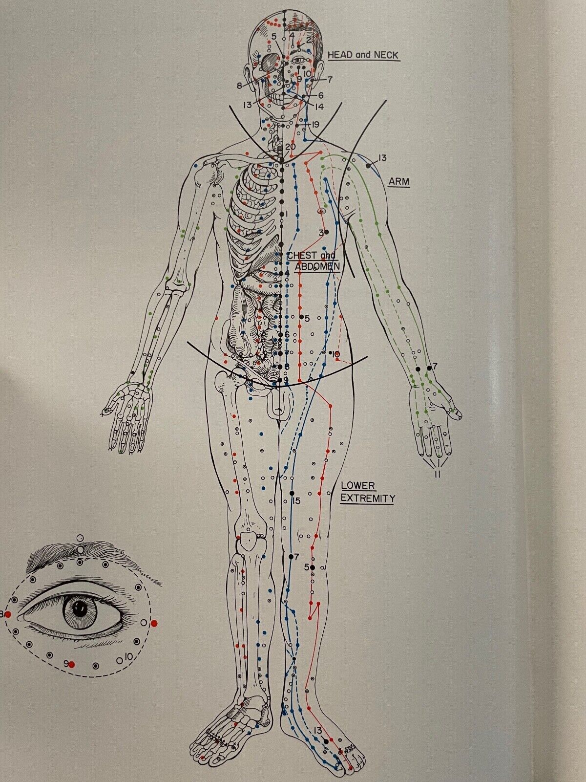 Acupuncture for Physicians by Teruo Matsumoto
