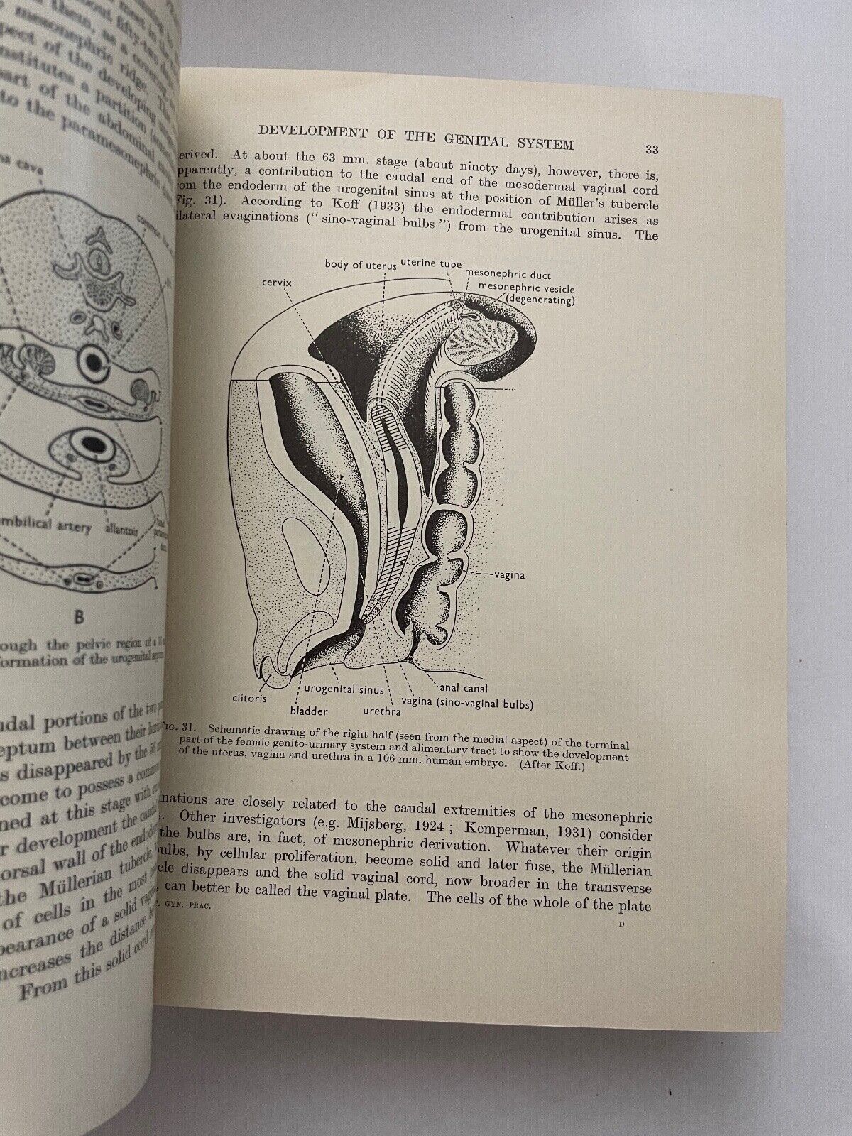 British Obstetric and Gynaecological Practice by Eardley Holland