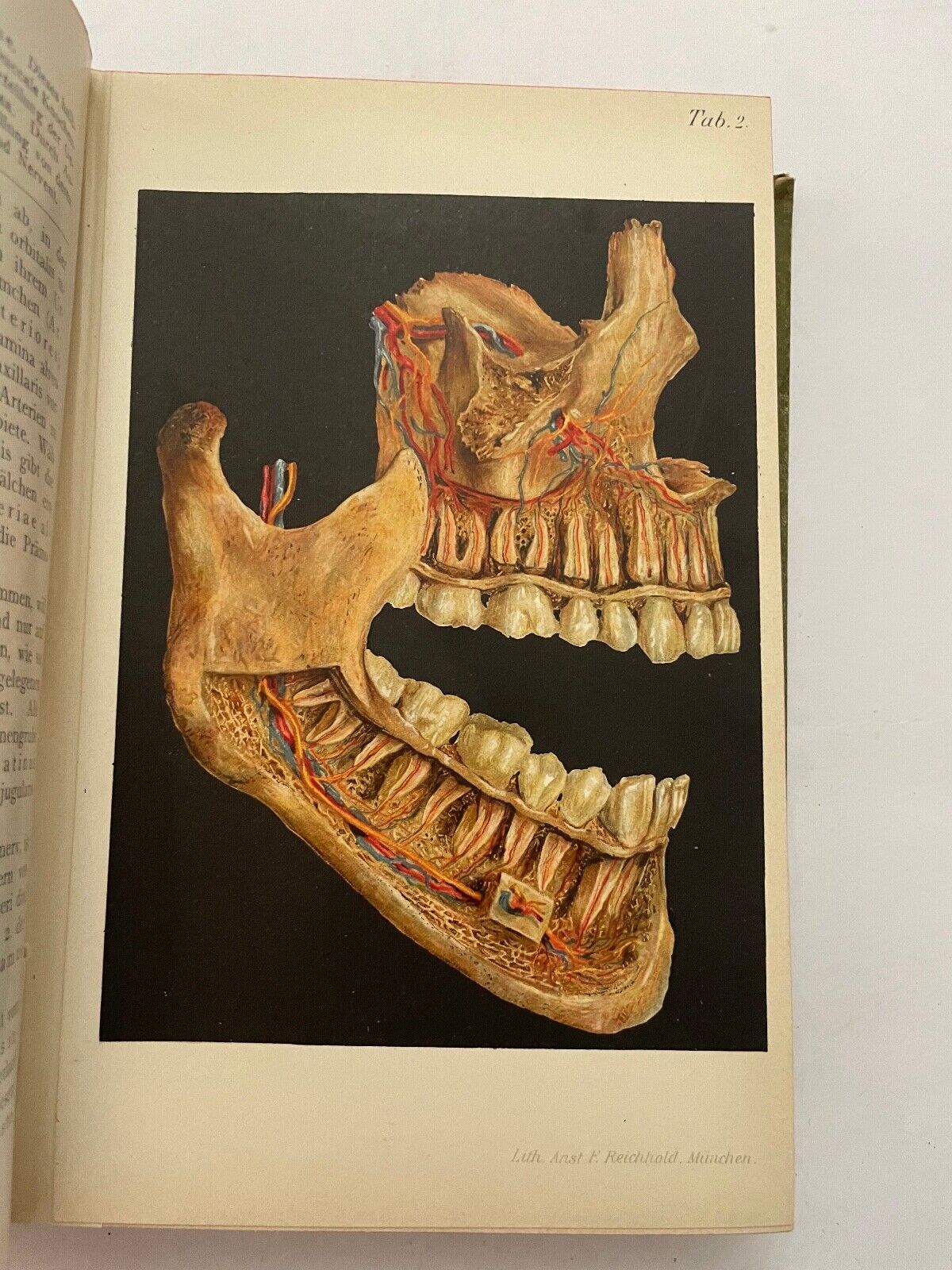 Dentistry Zahnheilkunde von G. Preiswerk (German)