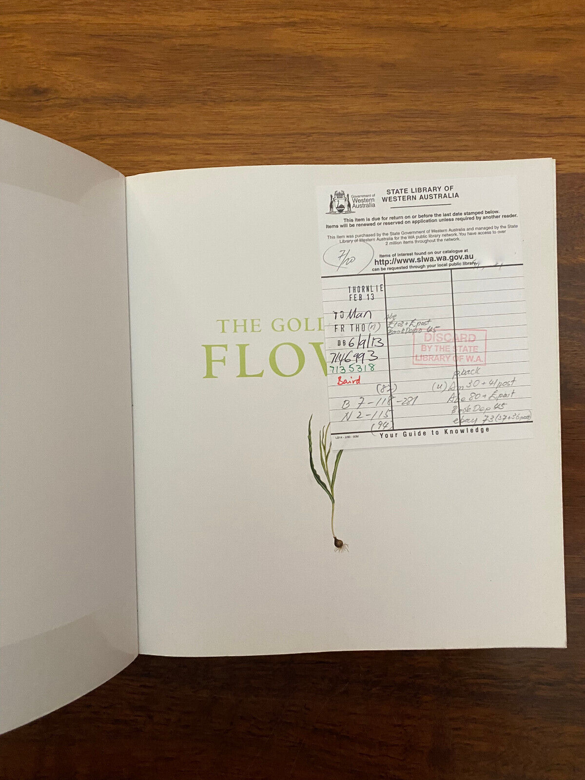 The Golden Age of Flowers: Botanical Illustration in the Age of