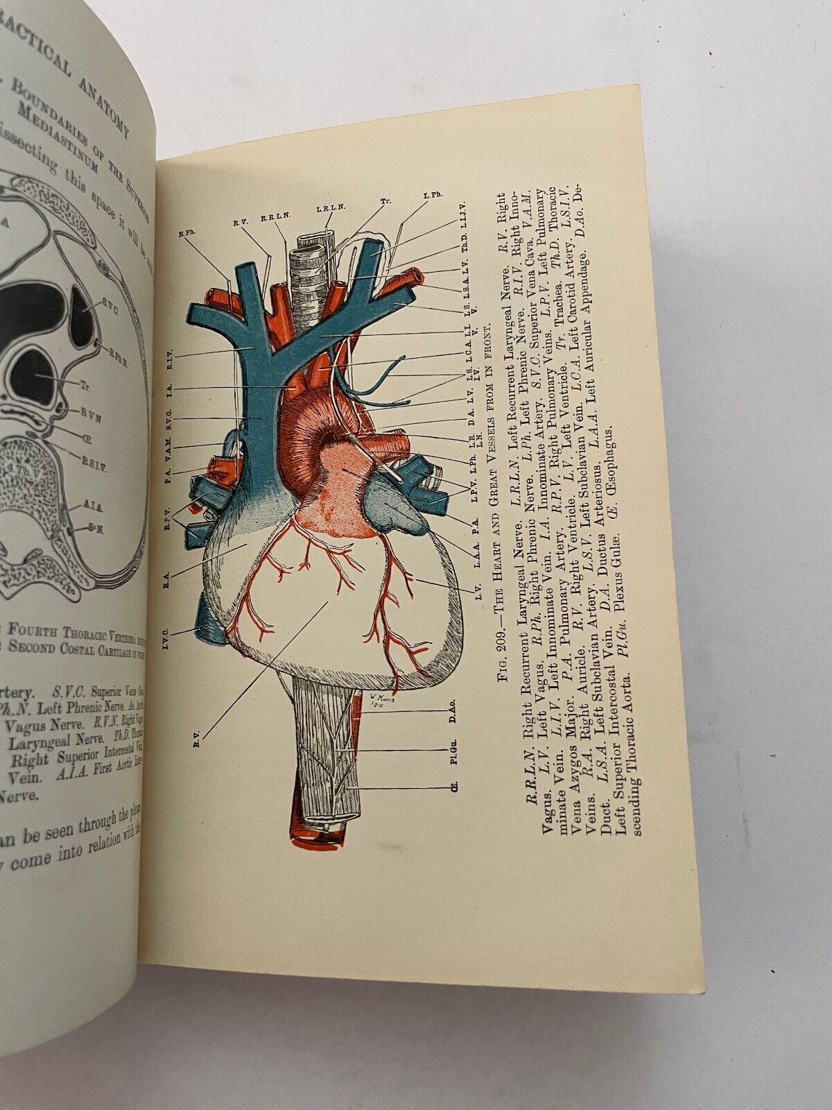 Practical Anatomy by Parsons and Wright Vol II 1923