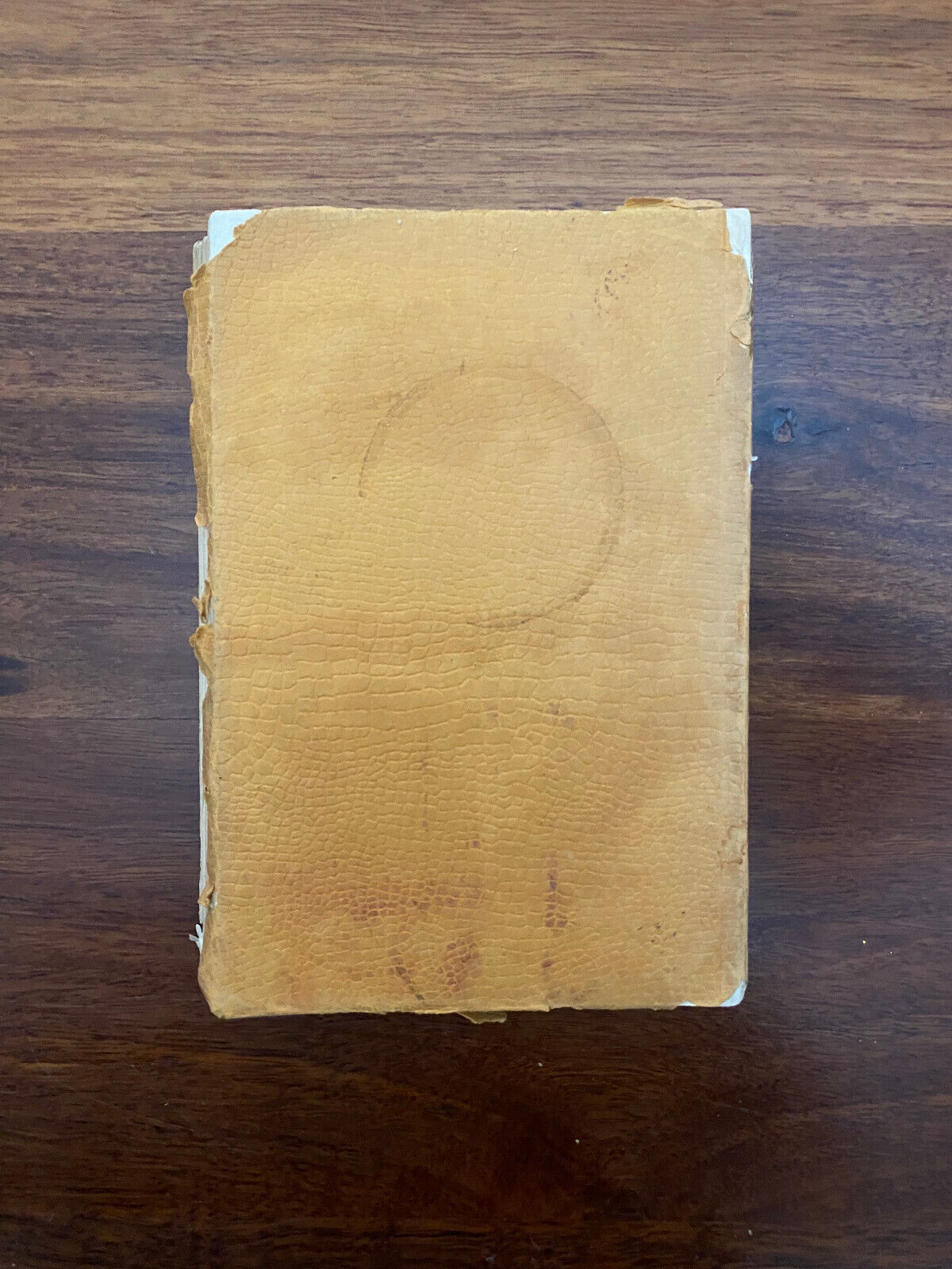 Golden Days by Jules Raeside (Softcover, 1929)