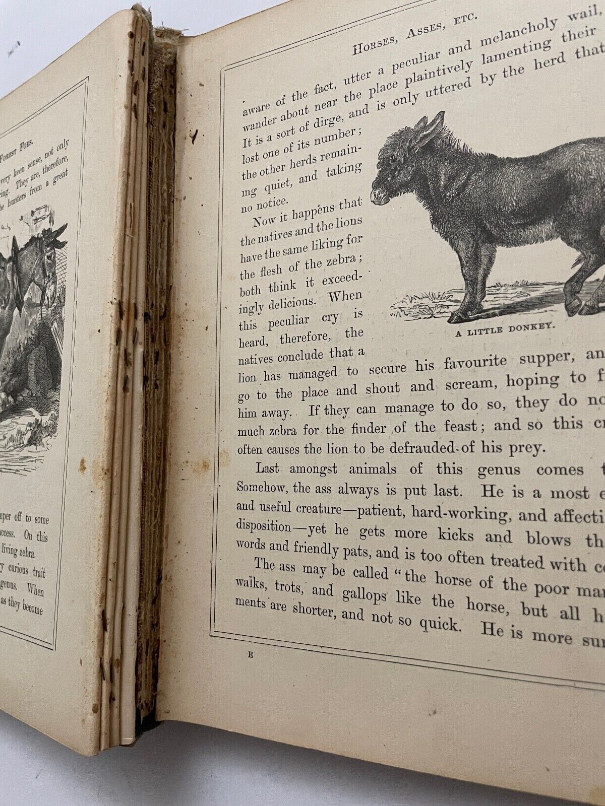 Field Friends and Forest Foes [With Illustrations] 1877