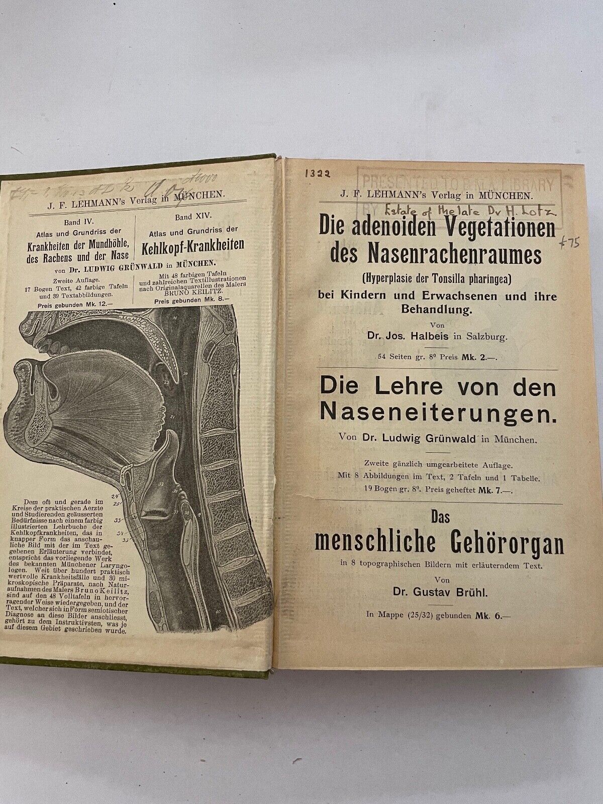 Dentistry Zahnheilkunde von G. Preiswerk (German)