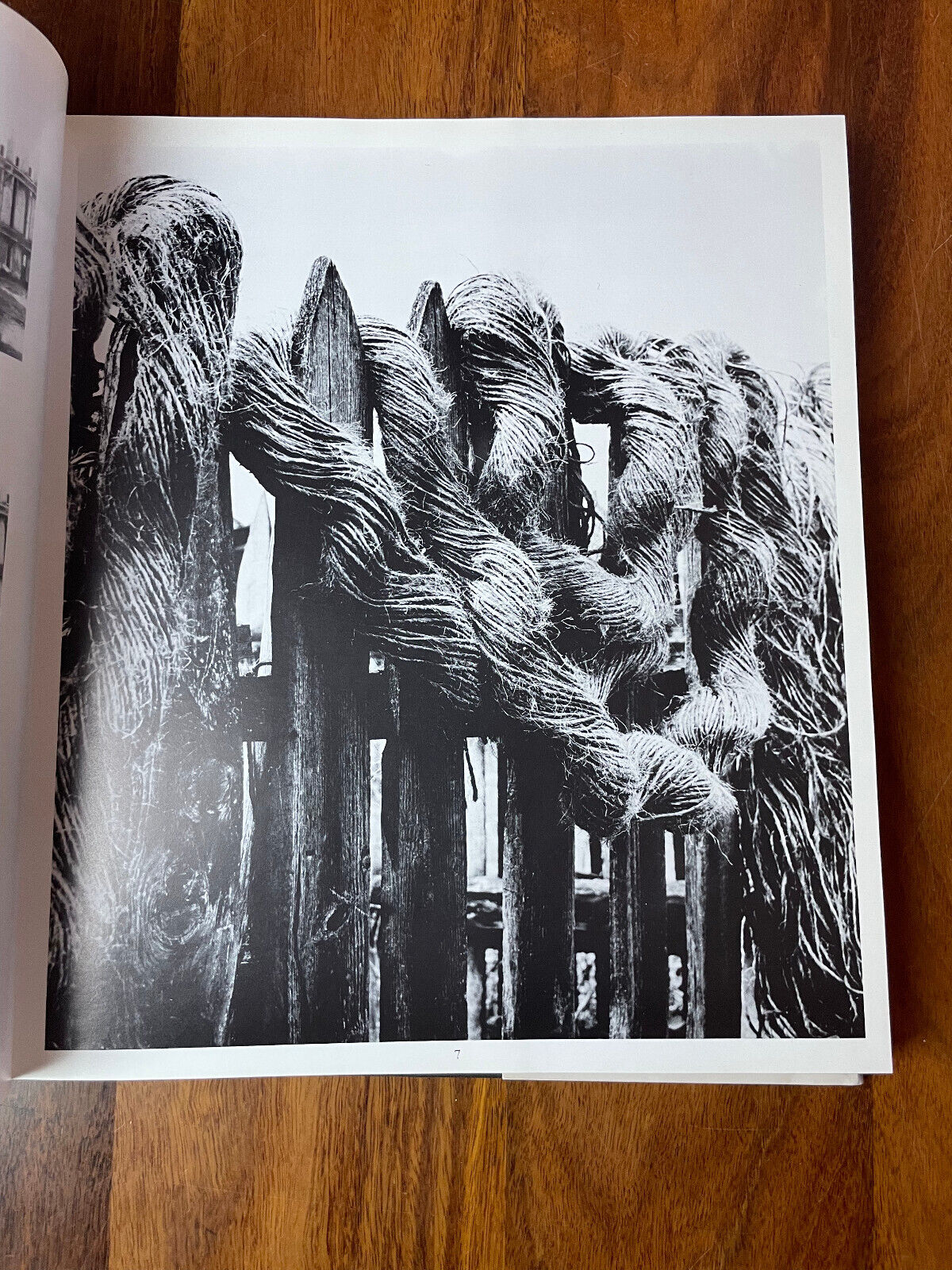 Jagoda Buic by Zoran Krzisnik (Hardcover, 1988)