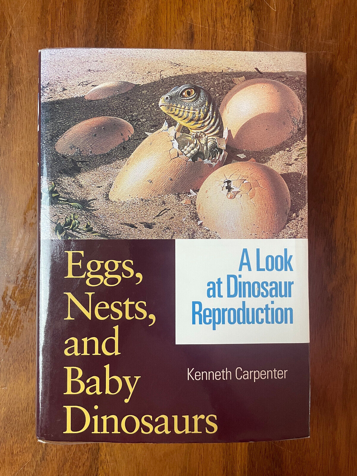 Eggs, Nests, and Baby Dinosaurs : A Look at Dinosaur Reproduction by Carpenter